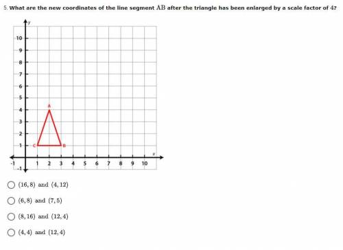 What are the new coordinates of the line segment AB after the triangle has been enlarged by a scale