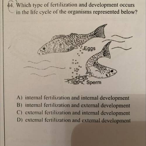 Which type of fertilization and development occurs

in the life cycle of the organisms represented