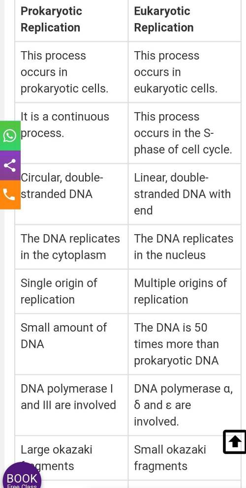 Which is one way that DNA replication is similar in eukaryotic cells and prokaryotic cells?
