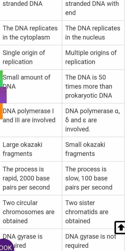 Which is one way that DNA replication is similar in eukaryotic cells and prokaryotic cells?