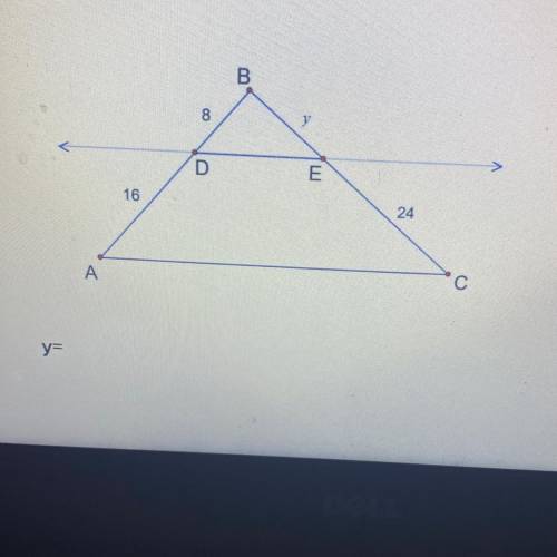 Can someone pleas help ?