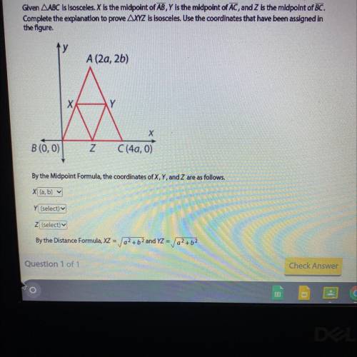 Please help I don’t understand how to solve