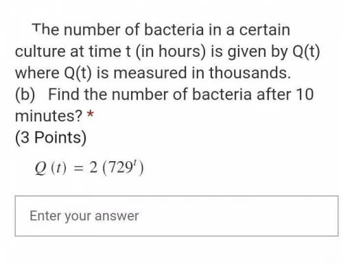 Find the number of bacteria after 10 minutes?​