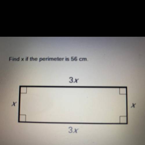 Find x if the perimeter is 56 cm.

A. 6
B. 7
C. 12
D. 14
Help now please help