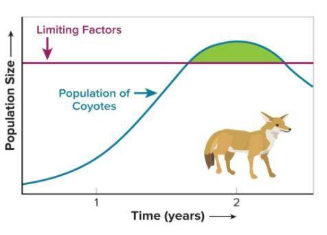 -QUESTION 6-

A population of coyotes lives in a habitat with plentiful food and no predators. Ana