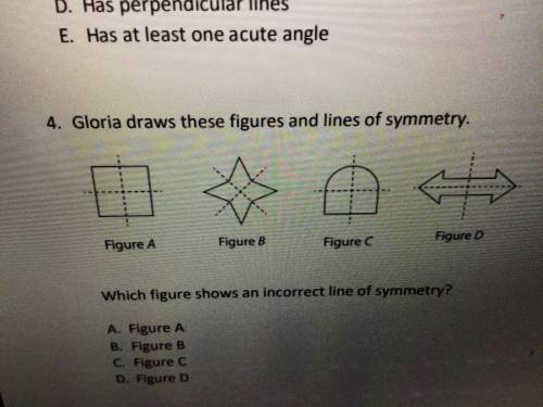 Gloria draws these figures and lines of symmetry

Which figure shows an incorrect line of symmetry