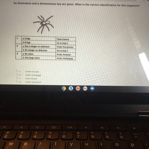 I NEED HELP ON THIS QUESTION ASAP