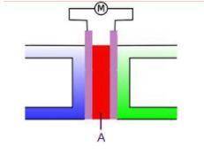 Look at the diagram of a fuel cell below.

Which part of the fuel cell does A represent?
A. air
B.