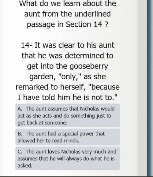 What do we learn about the aunt from the underlined passage in Section 14?