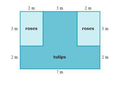 Lisa's garden has tulips and roses. Find the area of the part with tulips.