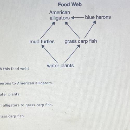 3. Which statement best describes one way energy flows through this food web?

water plants
A)Ener