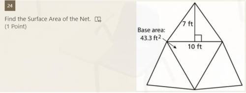 Help please. Find the surface area of the net.
