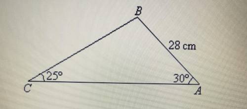 What is the area of this whole triangle?