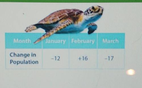 A marine rescue center starts the year with 44 sea turtles. the table shows how the sea turtles pop