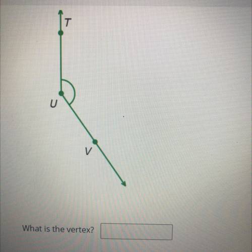 Pls lmk what the vertex of this is ?
