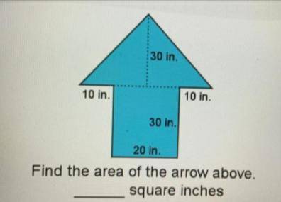 10 in.

10 in.
30 in.
20 in.
Find the area of the arrow above.
square inches
Enter