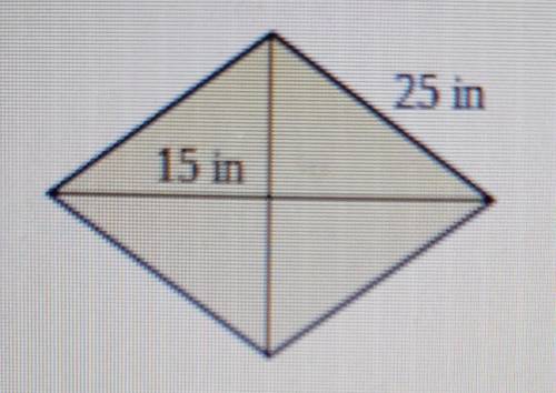 Find the area of the rhombus. (Simplify your answer)