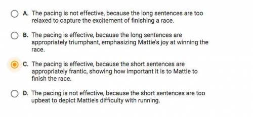 Which statement best evaluates the author's use of pacing to enhance the narrative?