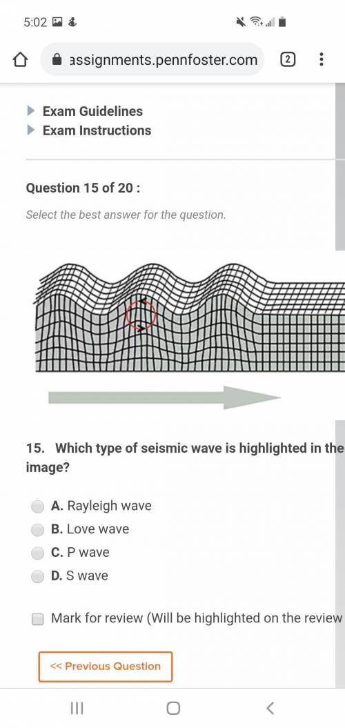 Which type of seismic wave is highlighted in the image?

A. Rayleigh wave
B. Love wave
C. P wave
D