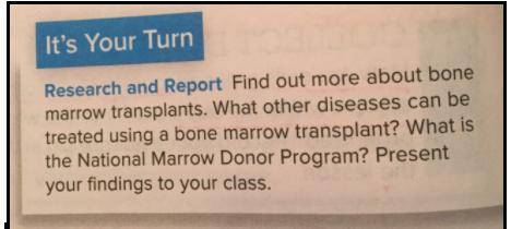 Find out more about bone marrow transplants. What other diseases can be treated using a a bone marr