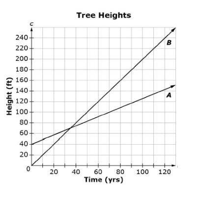 The graph shown compares the height of Tree A and the height Tree B over time (in years). How many