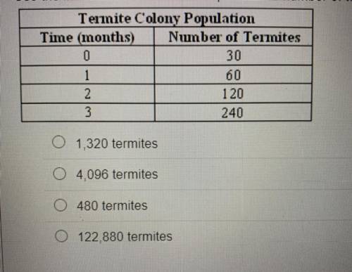 URGENT!

Use the information in the table to predict the number of termites in the termite colony