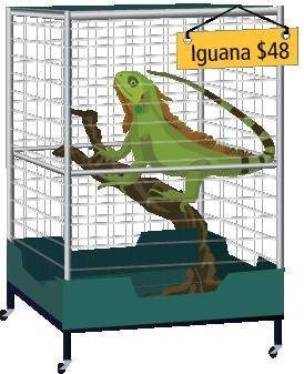 You want to buy a pet iguana. You already have $12 and plan to save$9 per week.

a.Model with Math
