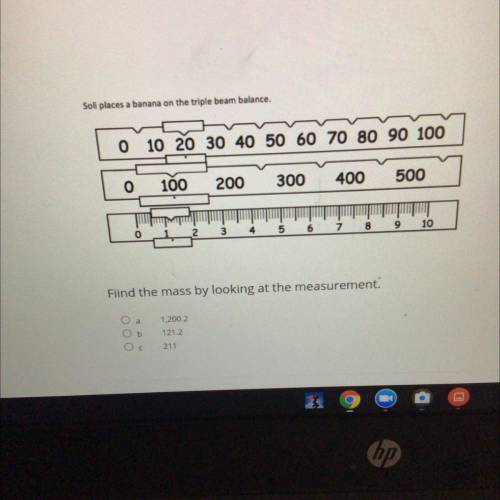 Find the mass by looking at the measurement!

PLS I NEED HELP ASAPP LOOK AT THE PIC AND BE ACCURAT