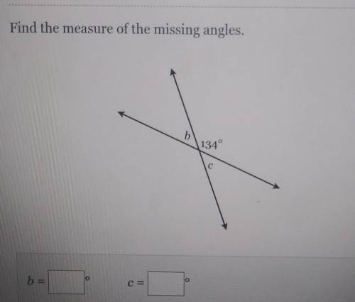 Find the measure of the missing angles.​