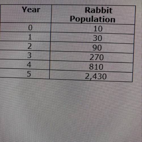 New Population: A group of rabbits of a different kind

(with the same initial value) is placed in