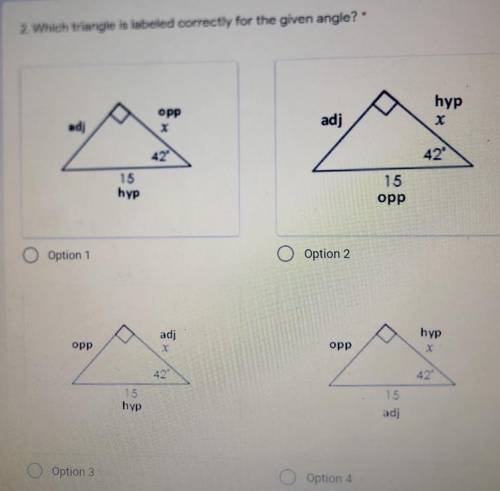 Which triangle is labeled correctly for the given angle?