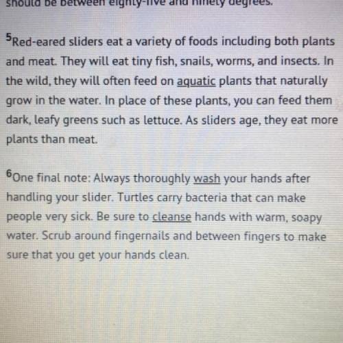 What is the main idea of this passage?

A)
how to provide basic care to a red-eared slider
B) how