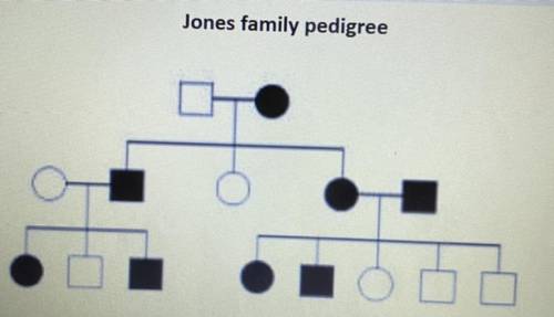 PEASE HELPPP!!!

Identify the individual(s) in the Jones family whose genotype cannot be determine