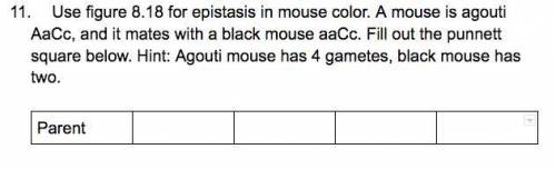 Had to redo the question because it wouldn't let me put pics, but this is my bio homework that I ne