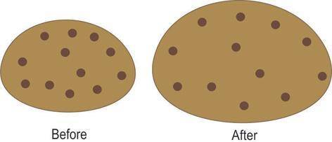 The picture below shows the model of a raisin bread before and after it is baked.

Raisin bread do