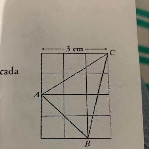 19 AAA Calcula el perímetro del triángulo ABC.

(NOTA: Aproxima hasta las décimas la medida de cad