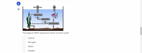 The diagram below best represents which nutrient cycle?