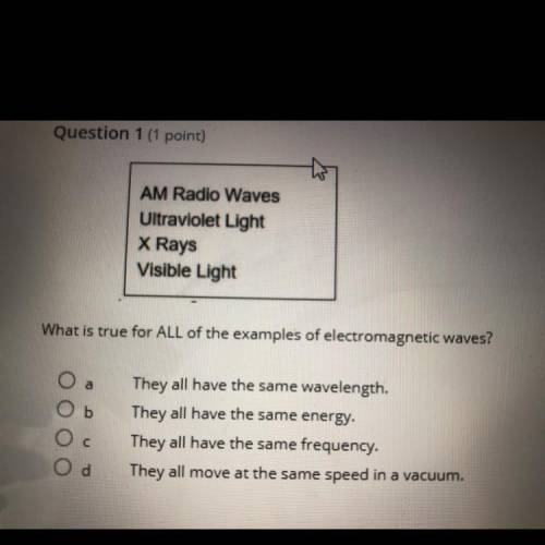Could someone please help me answer this?