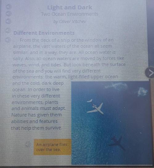 What problems exist for life in the deep ocean, and how do living things survive there? Use informa