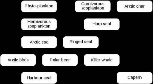 Which of the following is a Predator-Prey relationship?

killer whale-capelin
polar bear-harbour s