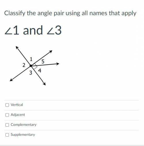 Classify the angle pair using all names that apply