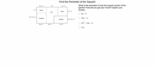 Find the area of the squash