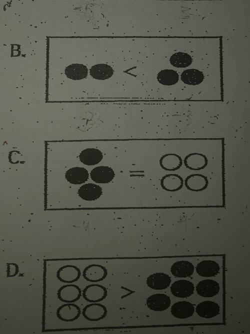 Based on the representations

shown, which of the following is
true?
Please help. And give a expla