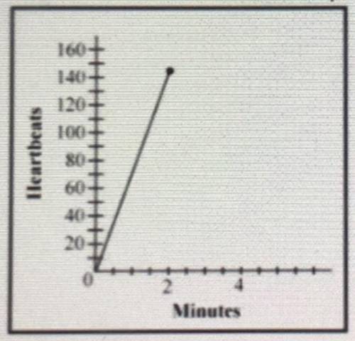 According to the graph above, what is the unit rate of a human’s heartbeat per minute?