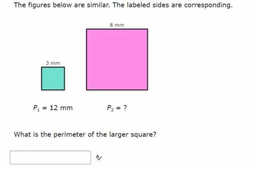 What is the perimeter of the larger square?
