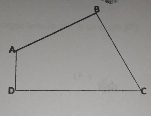 Qi. In quadrilateral ABCD, ZADC = 90°, ZBAD = 110°, ZBCD = 52°, AB = 12cm BC = 17cm and

AD = 5cm.