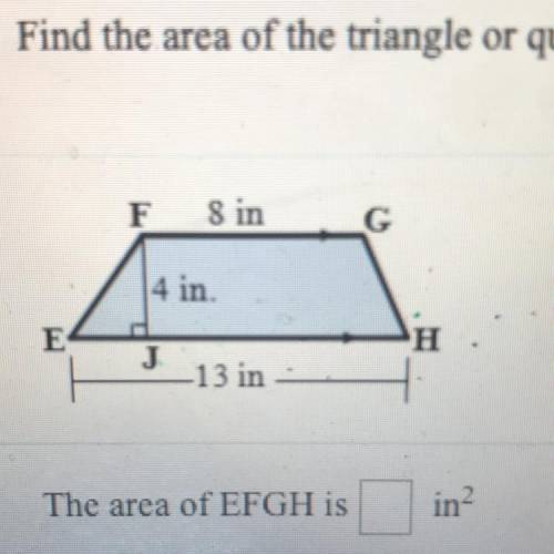 Find the area of the triangle or quadrilateral.