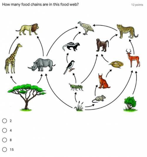 How many food chains are in this food web?