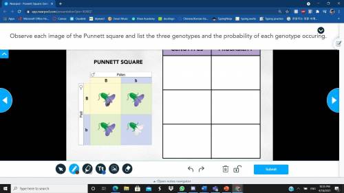 SOMEONE HELP ITS DUE SOON I NEED HELP WITH MY HOMEWORK!!

Observe each image of the Punnett square
