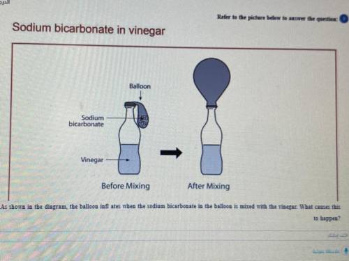 As shown in the diagram, the balloon infl ates when the sodium bicarbonate in the balloon is mixed